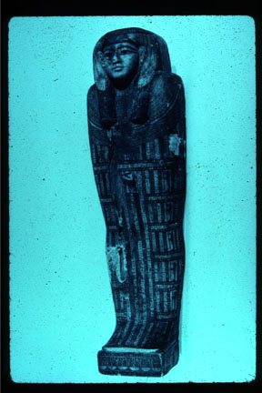 Mummy Sarcophagus of Ti Ameny Net
